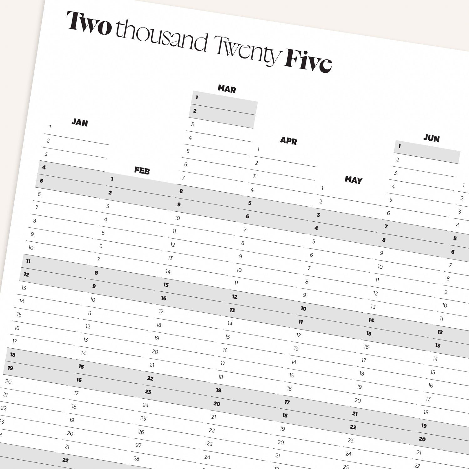 2025 Yearly Wall Planner