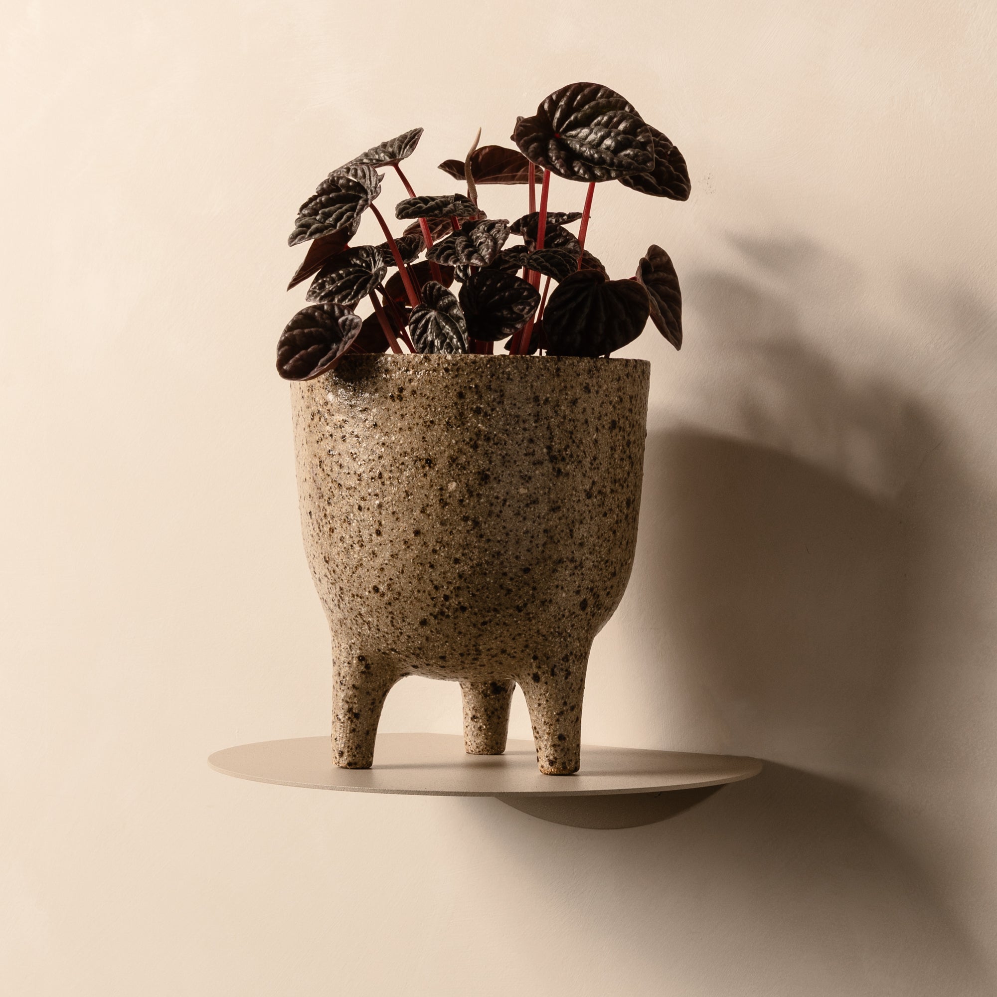 FOLD Round Shelf 250