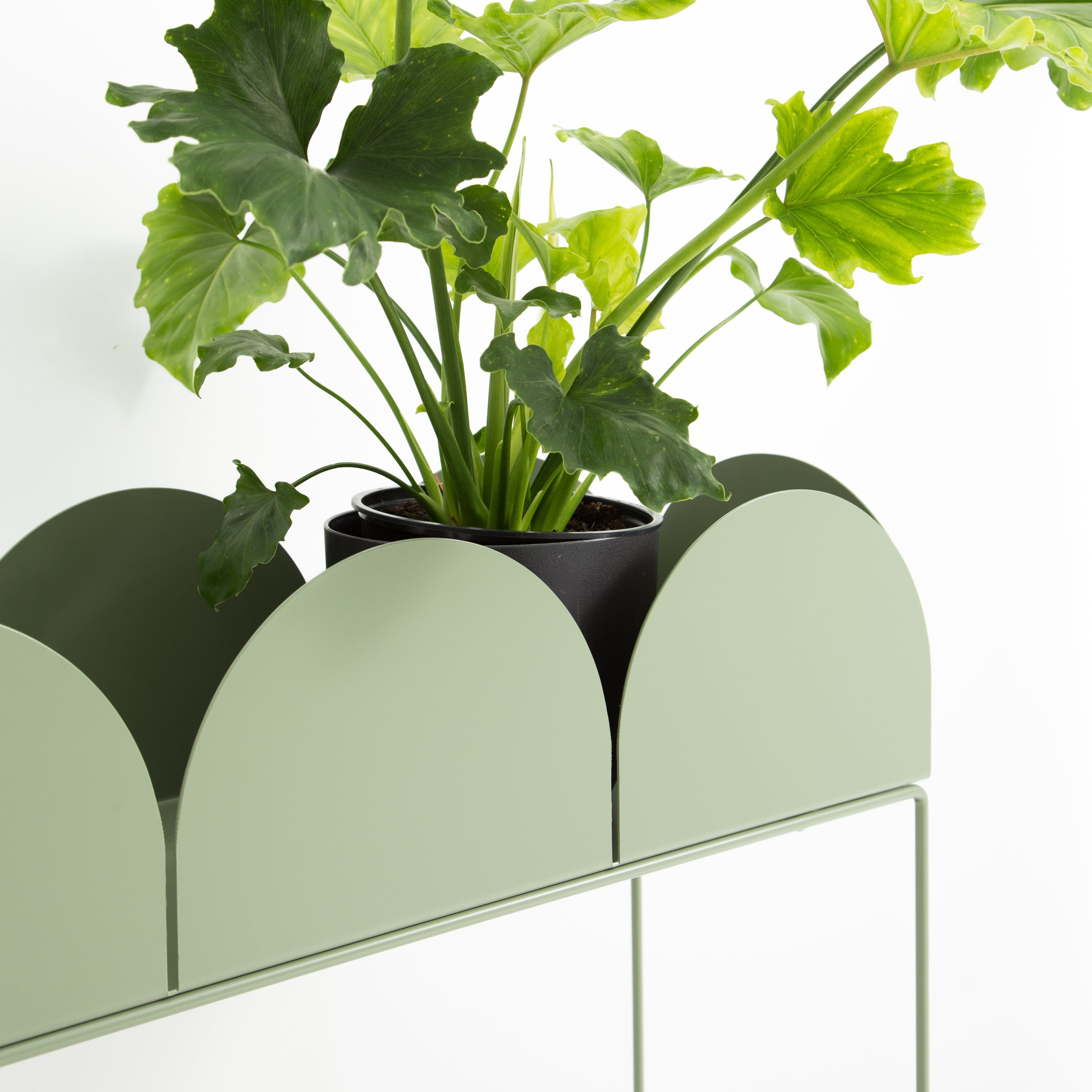 FOLD Arch Planter Box